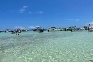 Key Largo Sandbar Excursion thumbnail 4