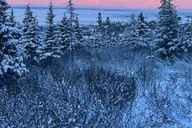 Anchorage Snowshoeing Adventure in Glen Alps 3 hr thumbnail 4