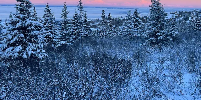 Anchorage Snowshoeing Adventure in Glen Alps 3 hr - Image 4