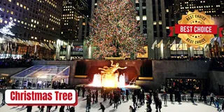 New York City Private Holiday Lights Tour by Car