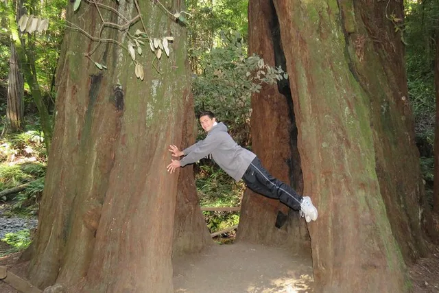 San Francisco Point Reyes and Muir Woods Tour - Image 3