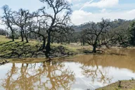 San Luis Obispo Santa Lucia Nature Tour thumbnail 1