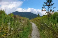 Asheville Guided Half Day Hike thumbnail 5