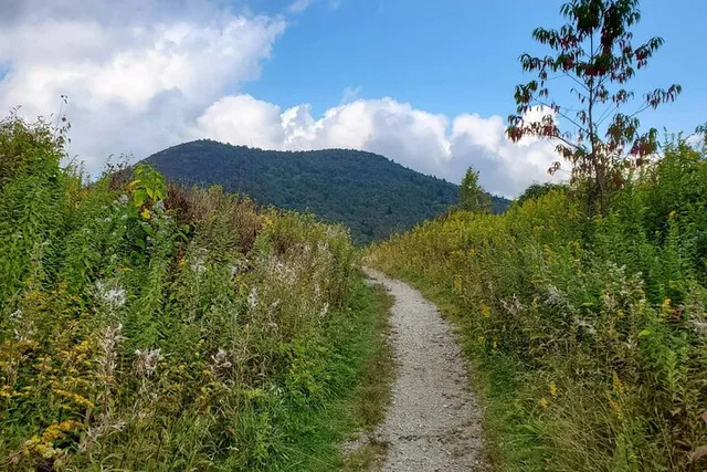 Asheville Guided Half Day Hike - Image 5