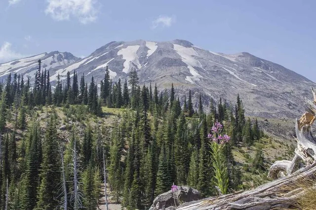 Portland Mt. Saint Helens Small Group Tour - Image 5