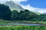 Oahu Private Community Service Voluntourism thumbnail 1