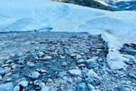Anchorage Glacier View & Wildlife Adventure Tour 7 hr thumbnail 2