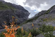 Seward Exit Glacier Nature Hike 2.5 hr thumbnail 2