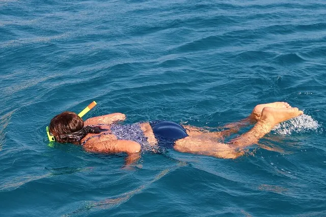 Key West Hop On Hop Off and Snorkeling Combo - Image 3