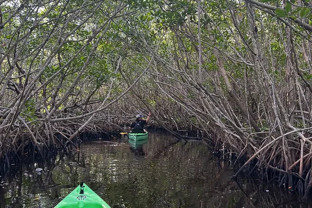 Marco Island Kayak Tour with Manatees and Mangroves - Image 5