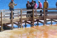 West Yellowstone Lower Loop Van Tour thumbnail 3