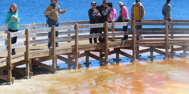 West Yellowstone Lower Loop Van Tour - Image 3