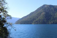 Seattle Olympic National Park Day Tour thumbnail 5