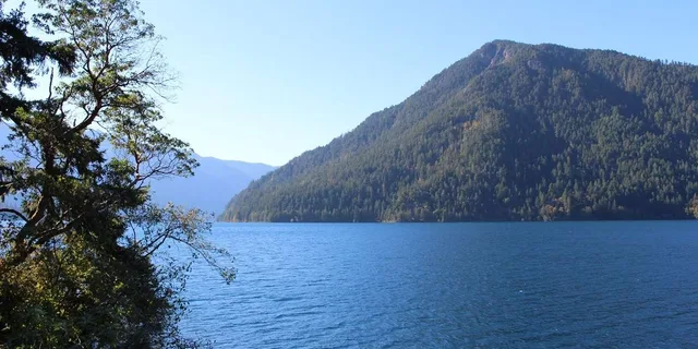 Seattle Olympic National Park Day Tour - Image 5