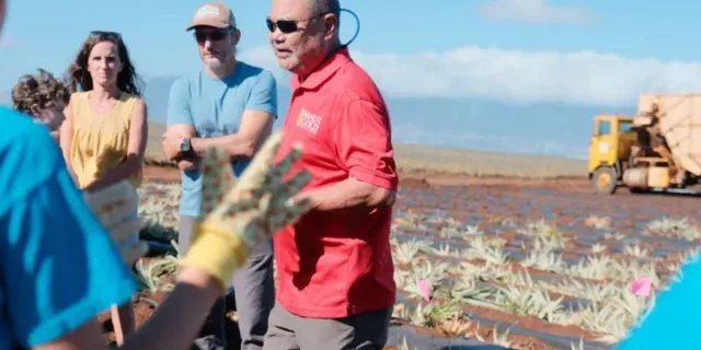 Maui Pineapple Planting Experience 2 hr - Image 3