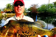 Miami Peacock Bass Fishing Tour 4 hr thumbnail 5