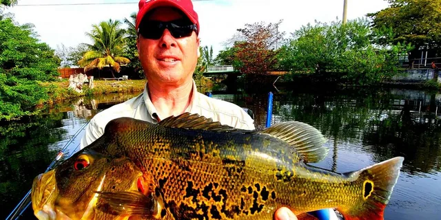 Miami Peacock Bass Fishing Tour 4 hr - Image 5