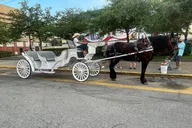Galveston Historic Carriage Tour thumbnail 6