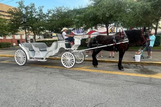 Galveston Historic Carriage Tour - Image 6