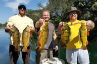 Miami Peacock Bass Fishing Trip thumbnail 3