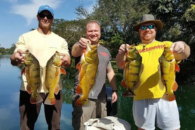 Miami Peacock Bass Fishing Trip - Image 3