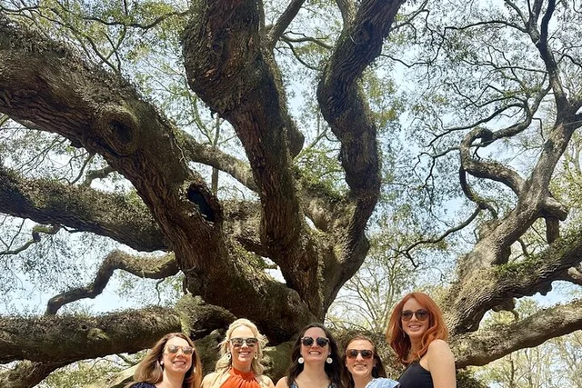 Charleston Tea Plantation and Winery Tour - Image 3