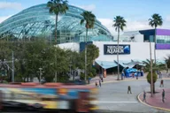 Tampa Florida Aquarium General Admission thumbnail 4