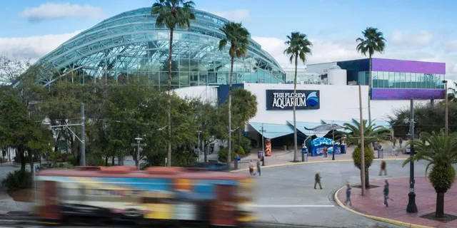 Tampa Florida Aquarium General Admission - Image 4