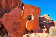 Las Vegas Valley of Fire Tour 4.5 hr thumbnail 2