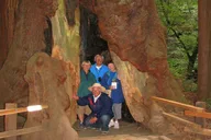 San Francisco Muir Woods Private Tour 4 hr thumbnail 5