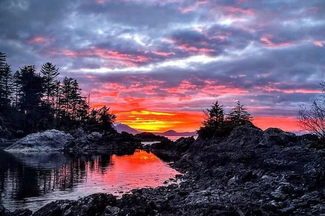 Sitka Private Island Experience - Image 3