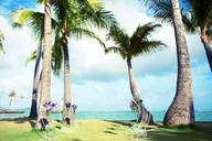 Honolulu Beach Wedding and Photo Session thumbnail 2
