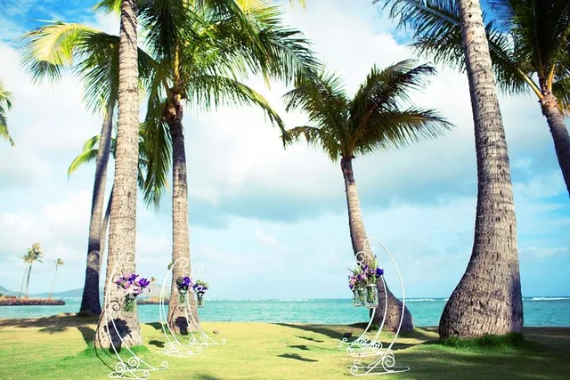 Honolulu Beach Wedding and Photo Session - Image 2