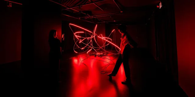 New York Immersive Art Experience 1 hr - Image 5