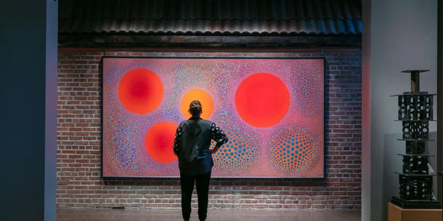 Denver Art Museum Admission Ticket - Image 4
