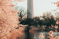 Washington DC Day Trip from New York thumbnail 6