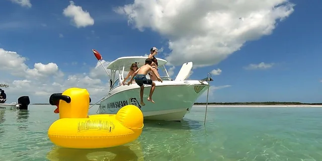 Key West Private Boat Charter with Dolphin Tour and Snorkeling - Image 5