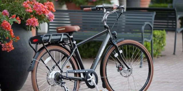 Norfolk E-Bike Rental Self-Guided Tour - Image 2