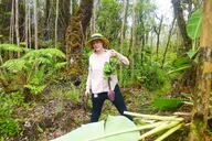 Fern Forest Banana Cultivation Experience thumbnail 6