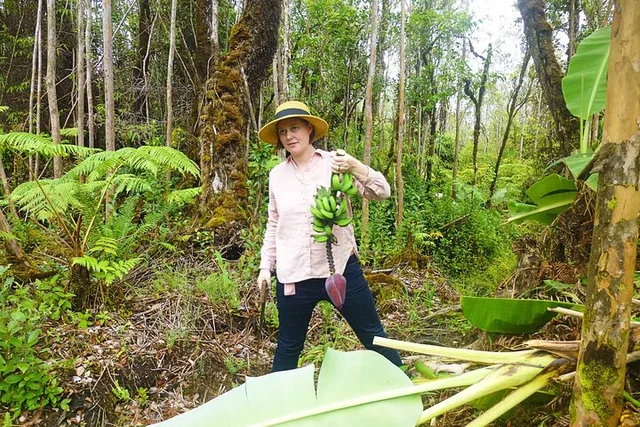 Fern Forest Banana Cultivation Experience - Image 6