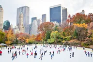 New York Central Park Pedicab Tour 2 hr thumbnail 2