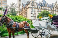 New York City Central Park Horse Carriage Ride thumbnail 2