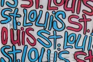 St Louis Art District Tour 8 hr thumbnail 2