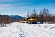 Anchorage to Fairbanks Aurora Winter Train thumbnail 2