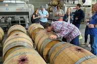 Sonoma Valley Pedal Assist Bike Tour thumbnail 6