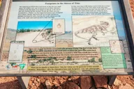 Moab Arches National Park 4x4 Adventure thumbnail 6