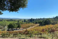 Sonoma County Wine Tasting Tour thumbnail 4