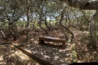 Morro Bay Nature Tour with Tasting 90 min thumbnail 2