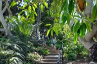 San Diego Electric Bike Tour thumbnail 3