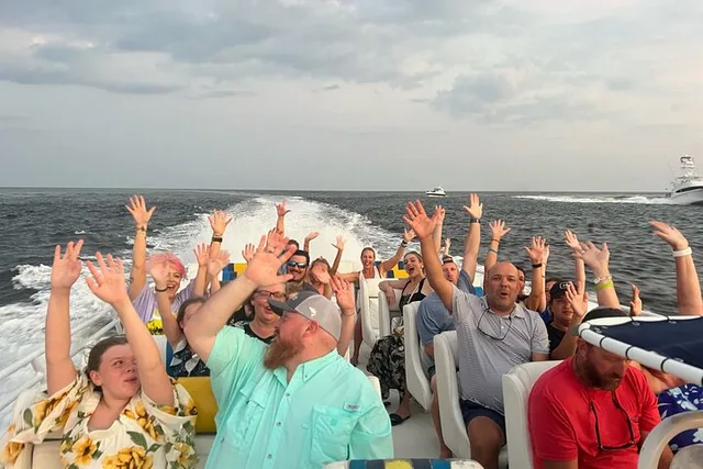 Destin Speedboat Dolphin Tour - Image 3